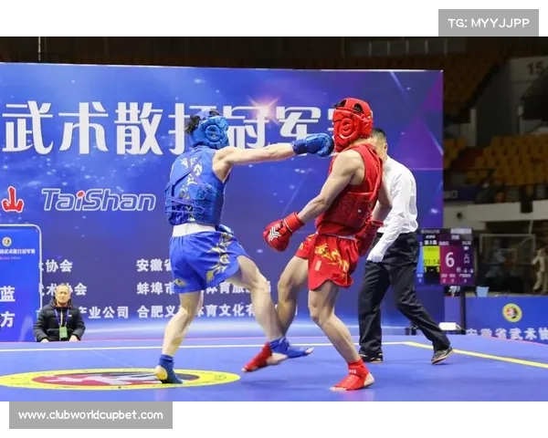 武术世界杯三冠王叶翔宣布退役 河南选手包揽散打90公斤以上级金牌