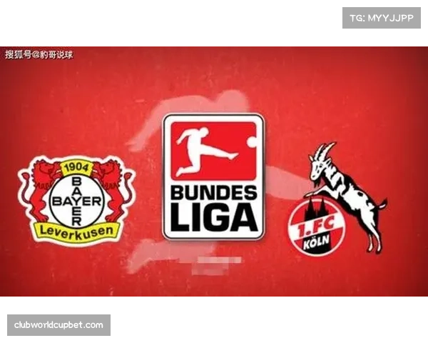 勒沃库森主场战力值得信赖 拜耳竞技场近18场欧战仅输2场